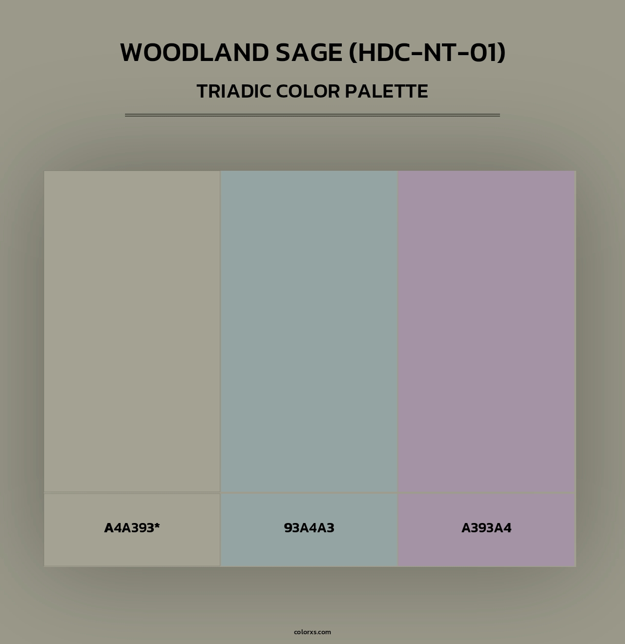 Woodland Sage (HDC-NT-01) - Triadic Color Palette