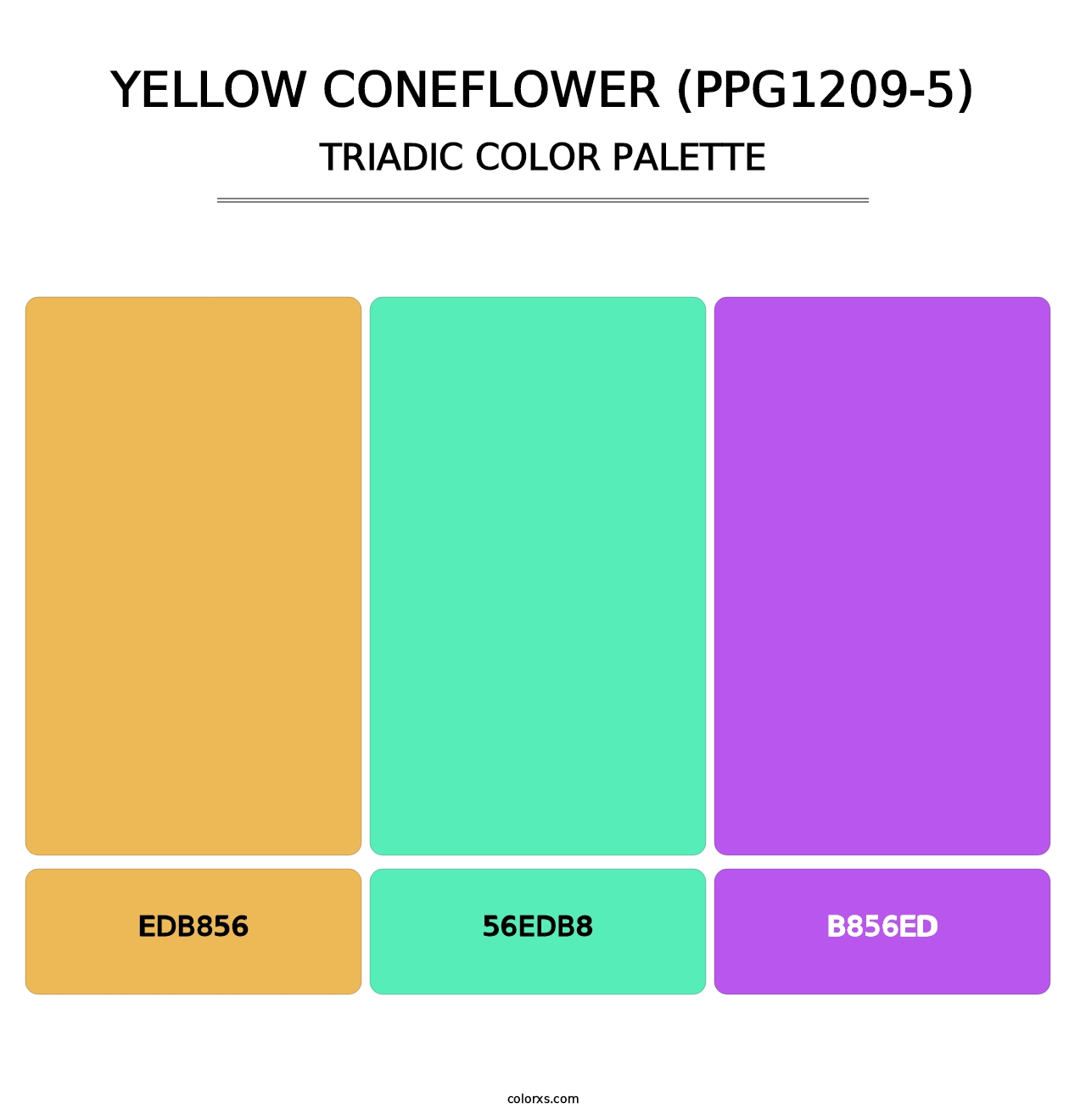 Yellow Coneflower (PPG1209-5) - Triadic Color Palette