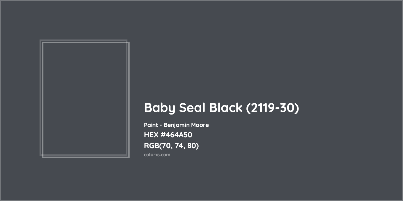 HEX #464A50 Baby Seal Black (2119-30) Paint Benjamin Moore - Color Code