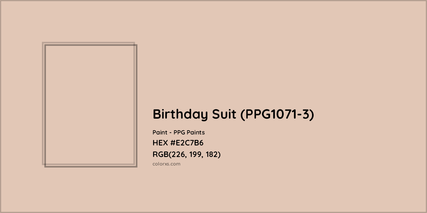 HEX #E2C7B6 Birthday Suit (PPG1071-3) Paint PPG Paints - Color Code