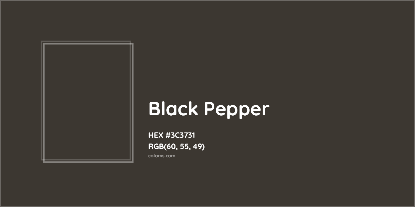 HEX #3C3731 Black Pepper Color - Color Code