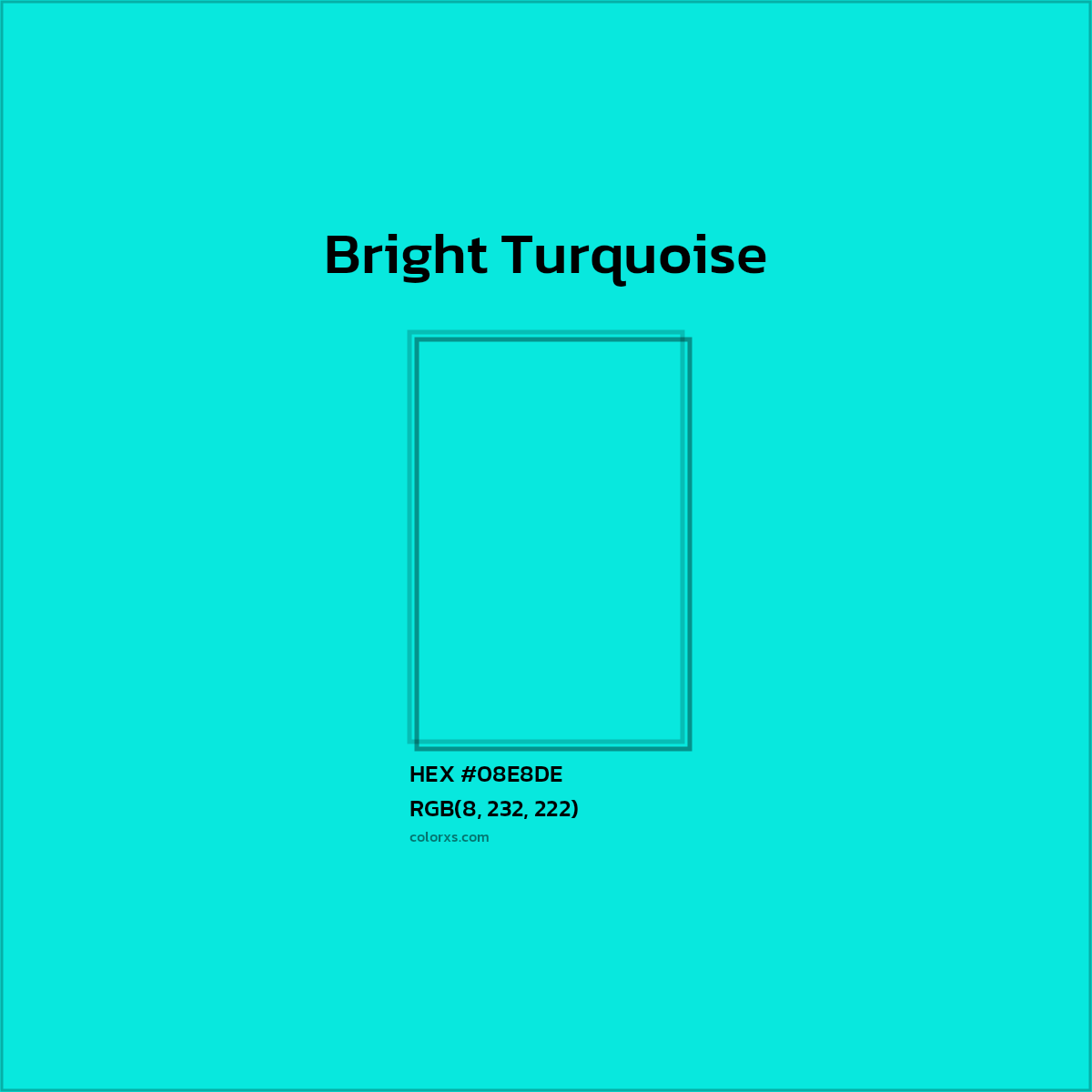 HEX #08E8DE Bright Turquoise Color - Color Code