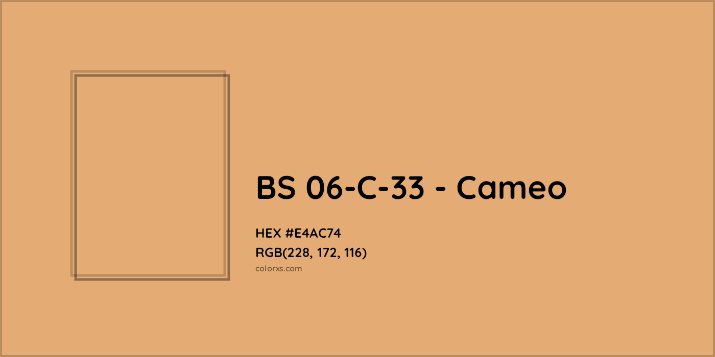 HEX #E4AC74 BS 06-C-33 - Cameo CMS British Standard 4800 - Color Code