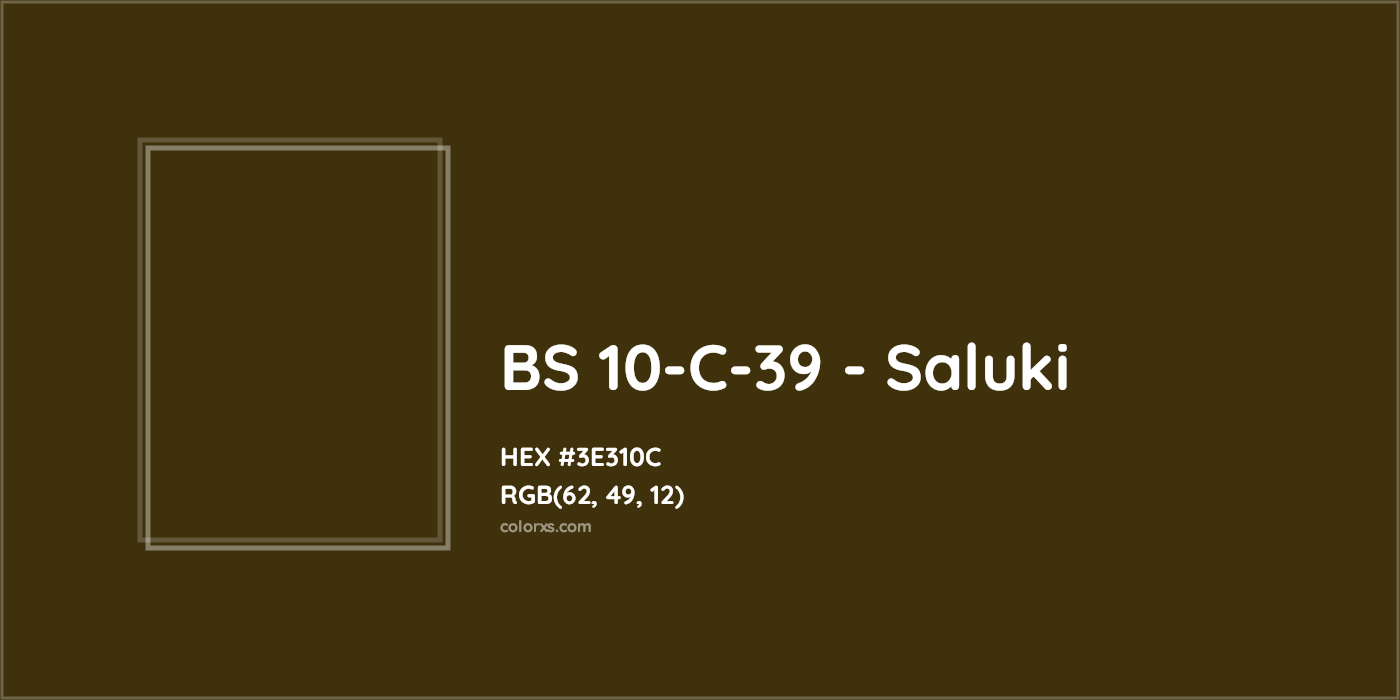 HEX #3E310C BS 10-C-39 - Saluki CMS British Standard 4800 - Color Code