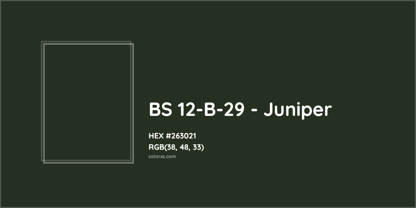 HEX #263021 BS 12-B-29 - Juniper CMS British Standard 4800 - Color Code