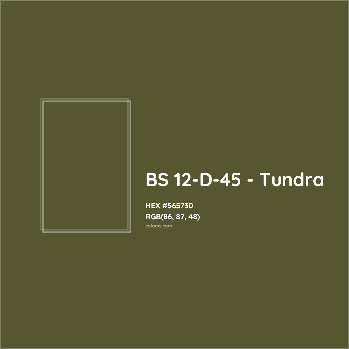HEX #565730 BS 12-D-45 - Tundra CMS British Standard 4800 - Color Code