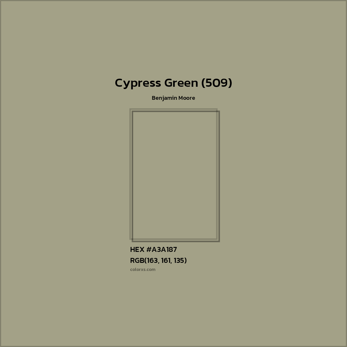 HEX #A3A187 Cypress Green (509) Paint Benjamin Moore - Color Code