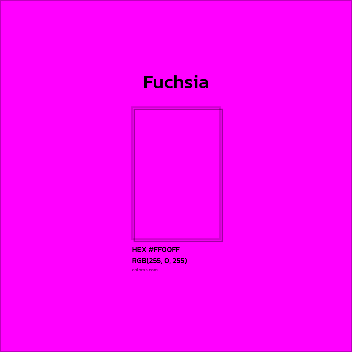 HEX #FF00FF Fuchsia Color - Color Code