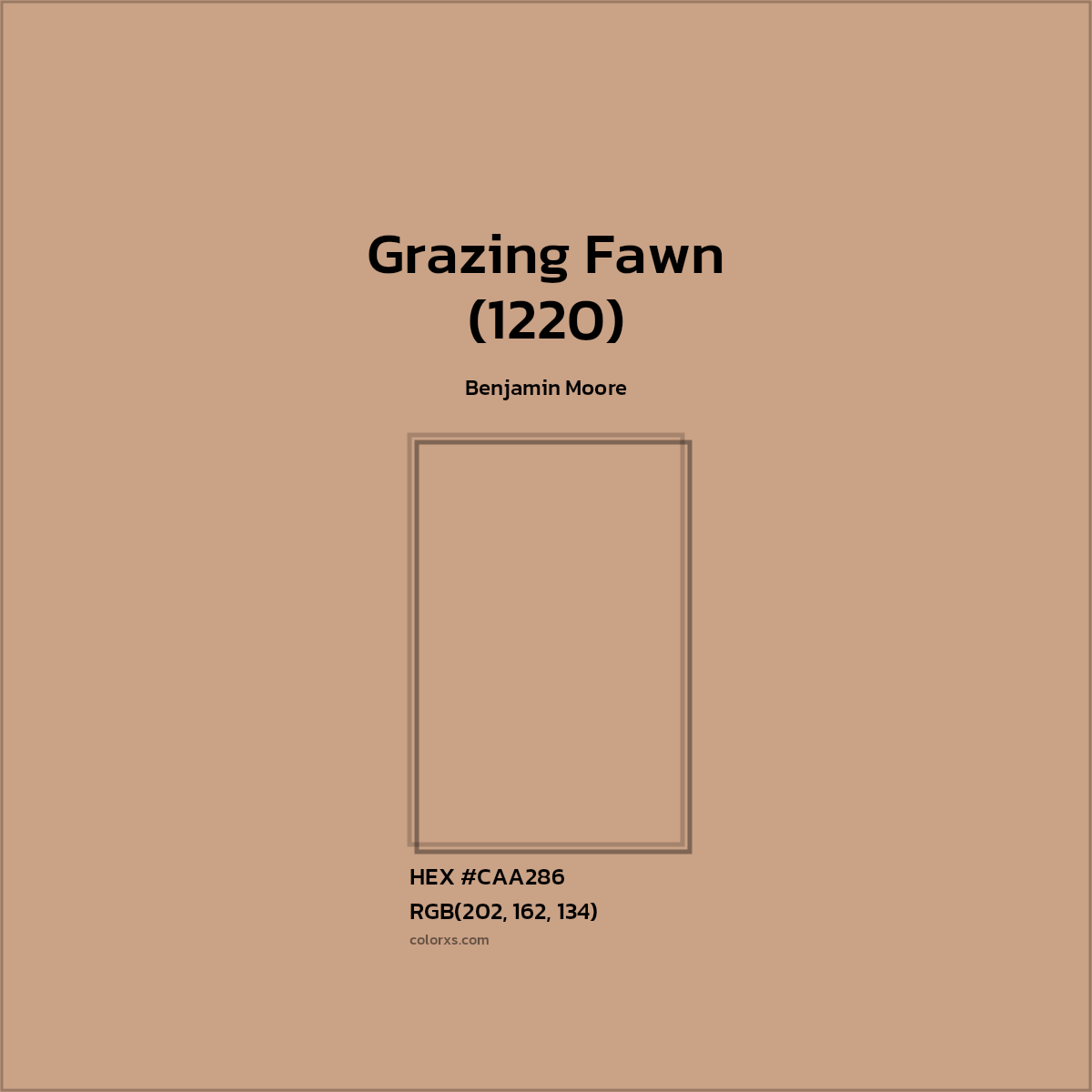 HEX #CAA286 Grazing Fawn (1220) Paint Benjamin Moore - Color Code