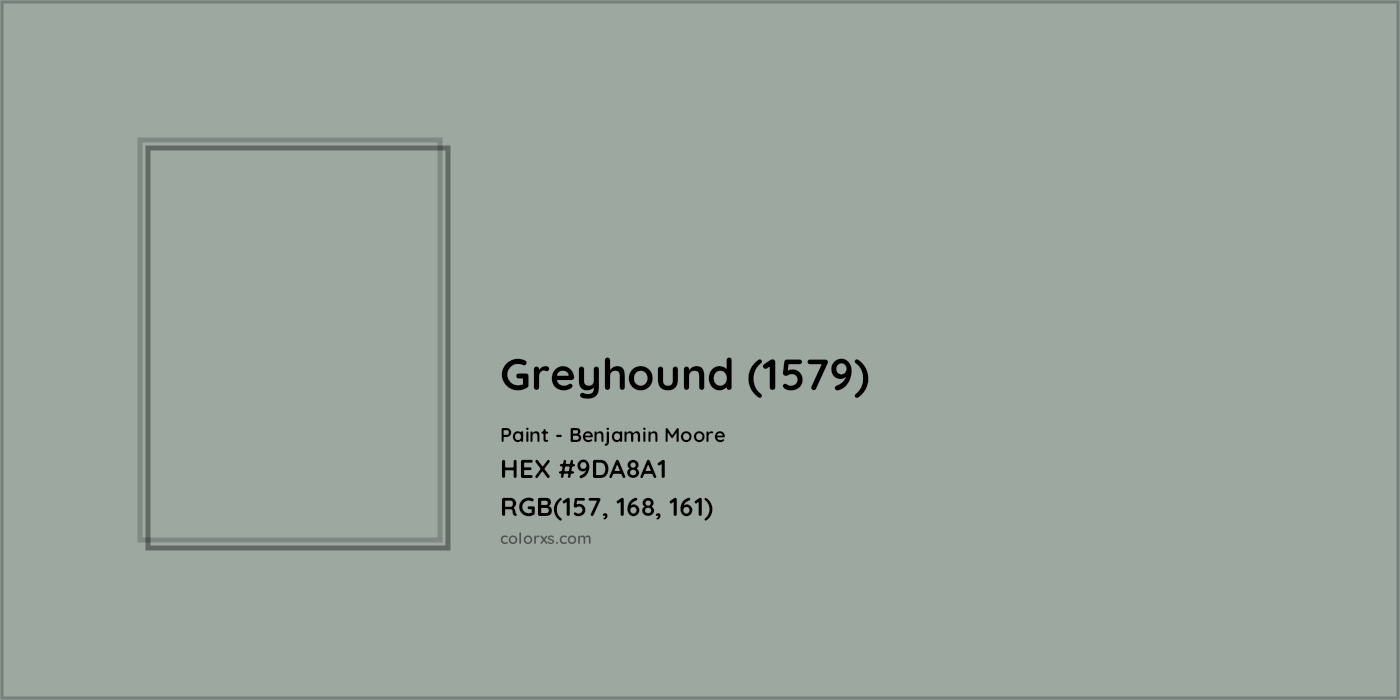 HEX #9DA8A1 Greyhound (1579) Paint Benjamin Moore - Color Code