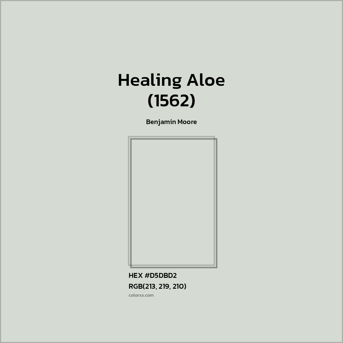 HEX #D5DBD2 Healing Aloe (1562) Paint Benjamin Moore - Color Code