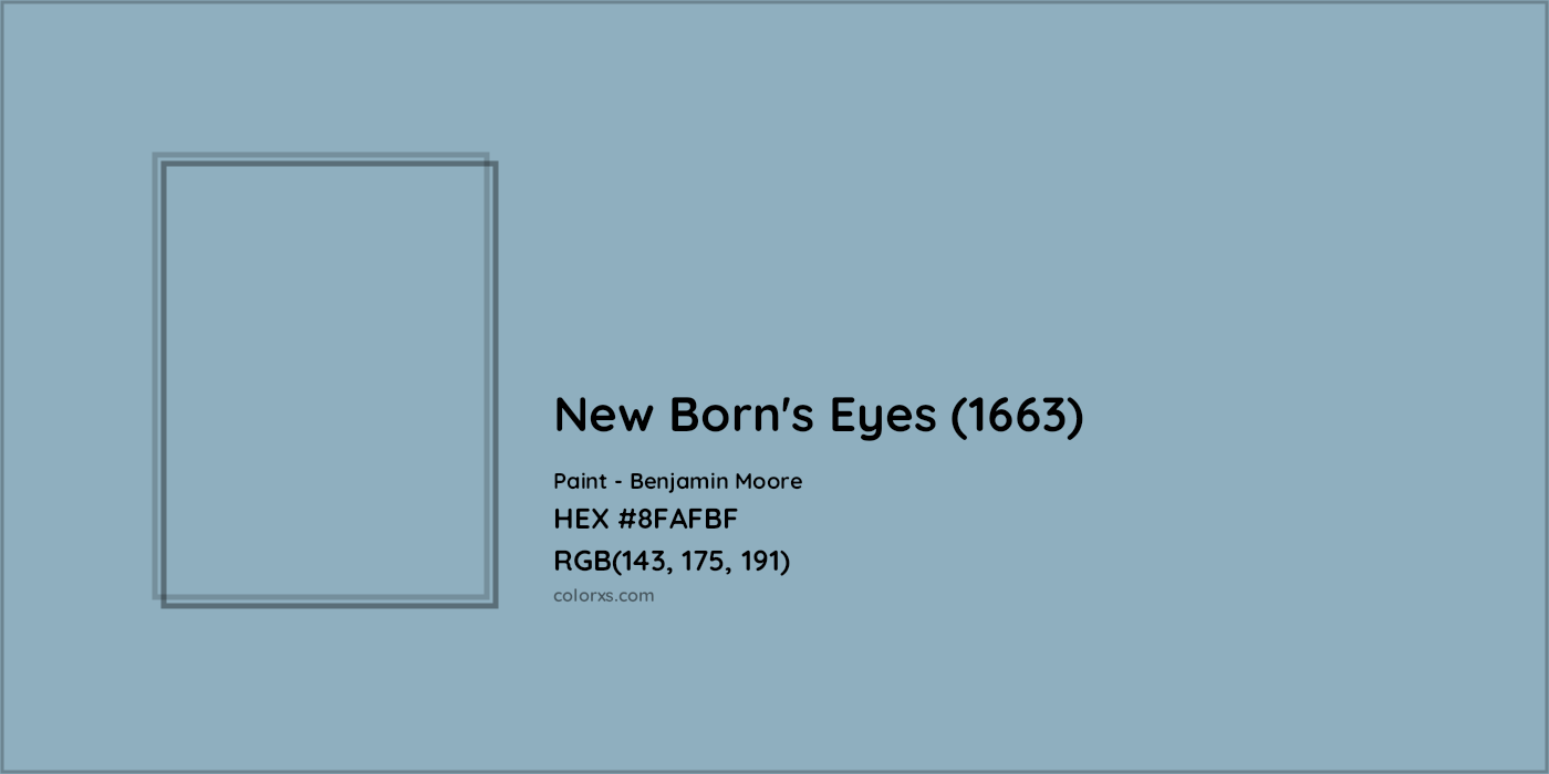 HEX #8FAFBF New Born's Eyes (1663) Paint Benjamin Moore - Color Code