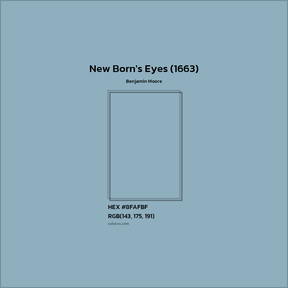 HEX #8FAFBF New Born's Eyes (1663) Paint Benjamin Moore - Color Code