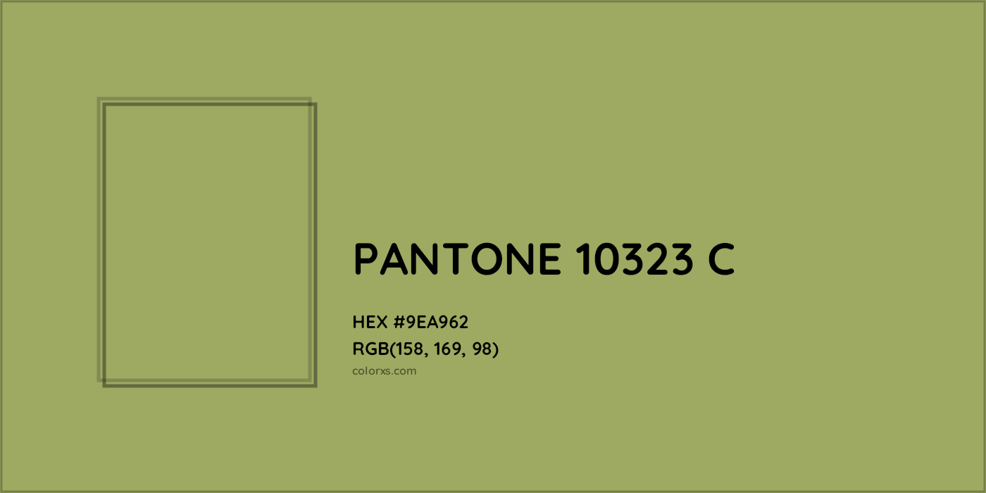 HEX #9EA962 PANTONE 10323 C CMS Pantone PMS - Color Code