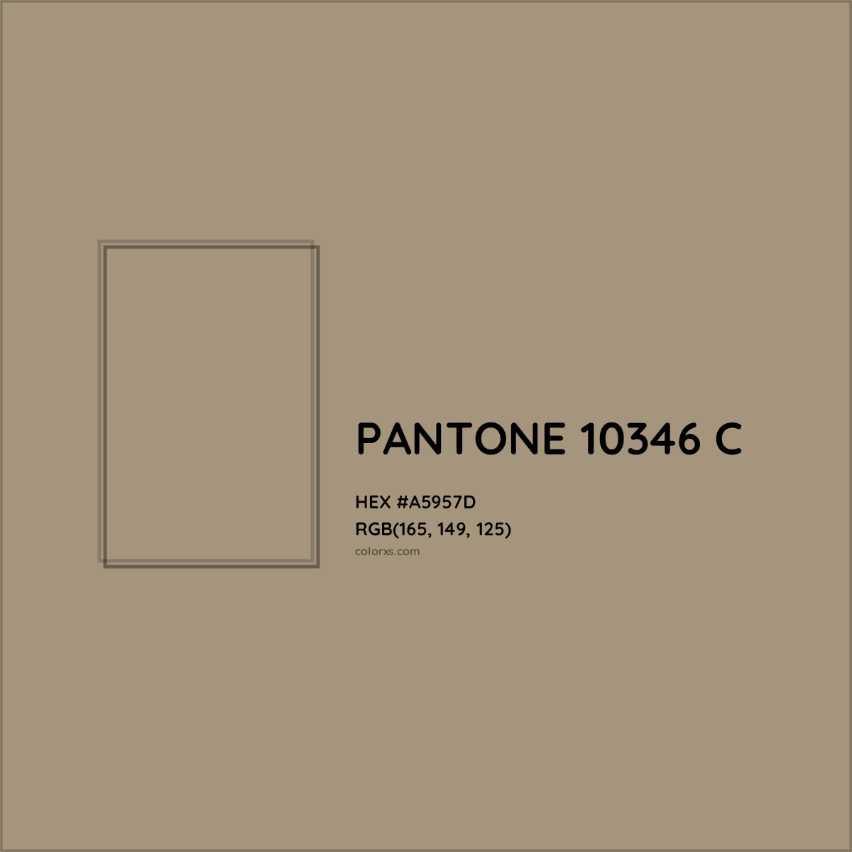 HEX #A5957D PANTONE 10346 C CMS Pantone PMS - Color Code