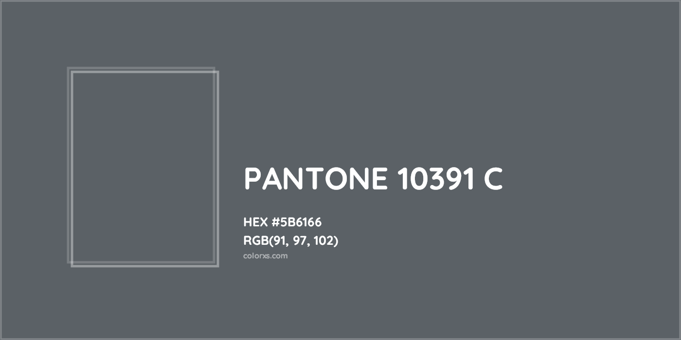 HEX #5B6166 PANTONE 10391 C CMS Pantone PMS - Color Code