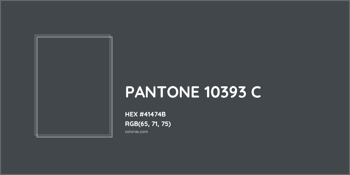 HEX #41474B PANTONE 10393 C CMS Pantone PMS - Color Code