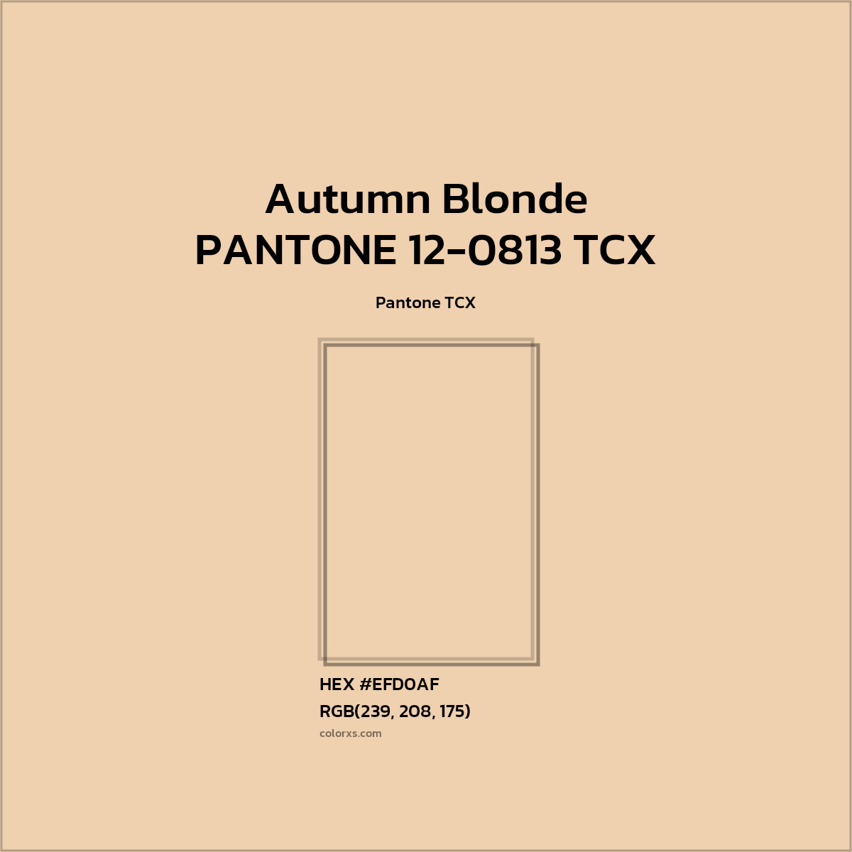 HEX #EECFAD PANTONE 12-0813 TCX - Autumn Blonde CMS Pantone TCX - Color Code