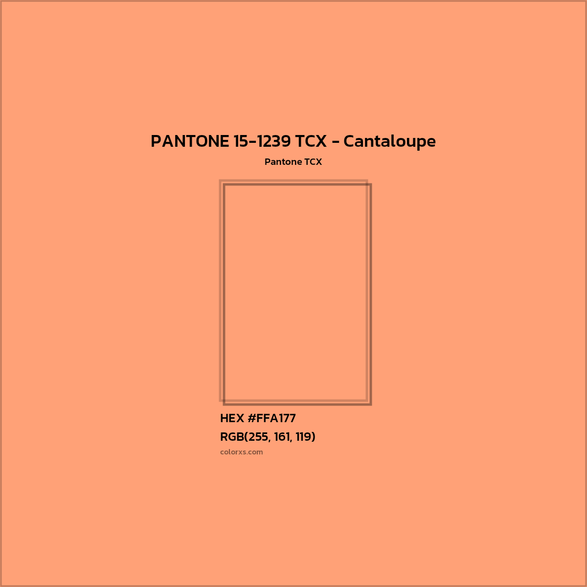 HEX #FFA177 PANTONE 15-1239 TCX - Cantaloupe CMS Pantone TCX - Color Code