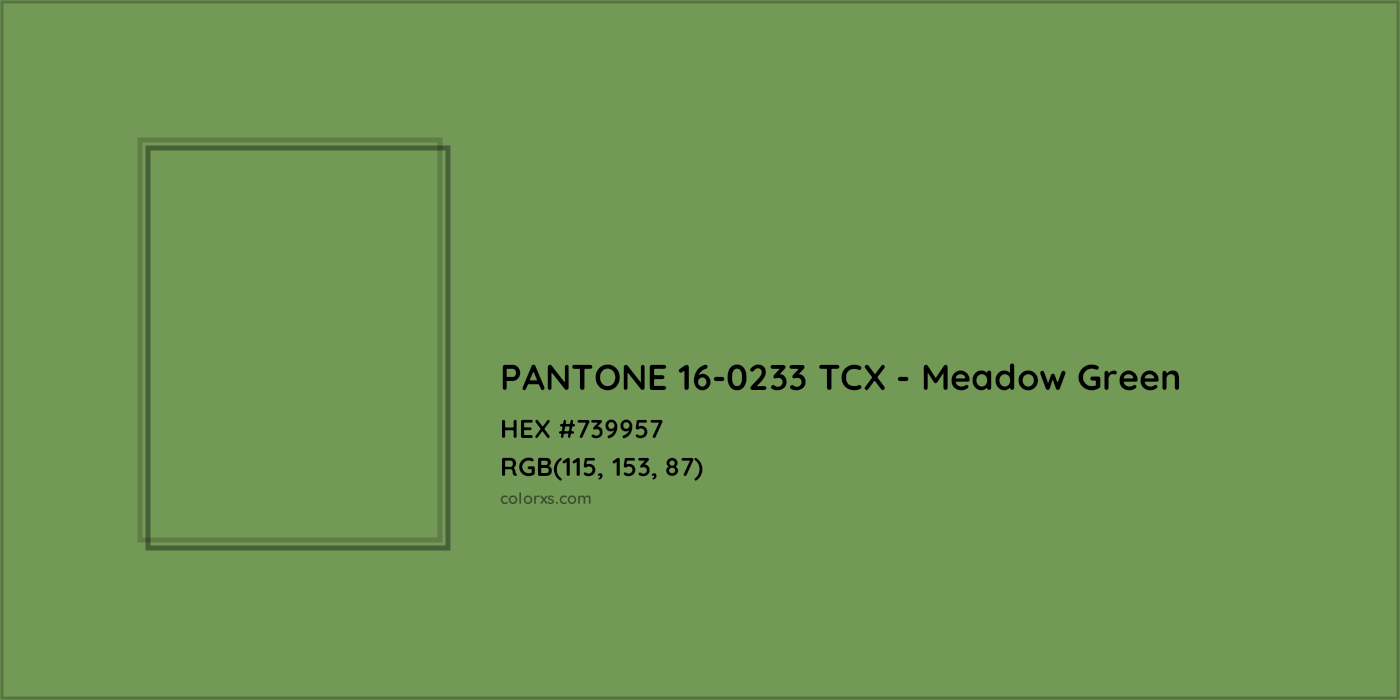 HEX #739957 PANTONE 16-0233 TCX - Meadow Green CMS Pantone TCX - Color Code