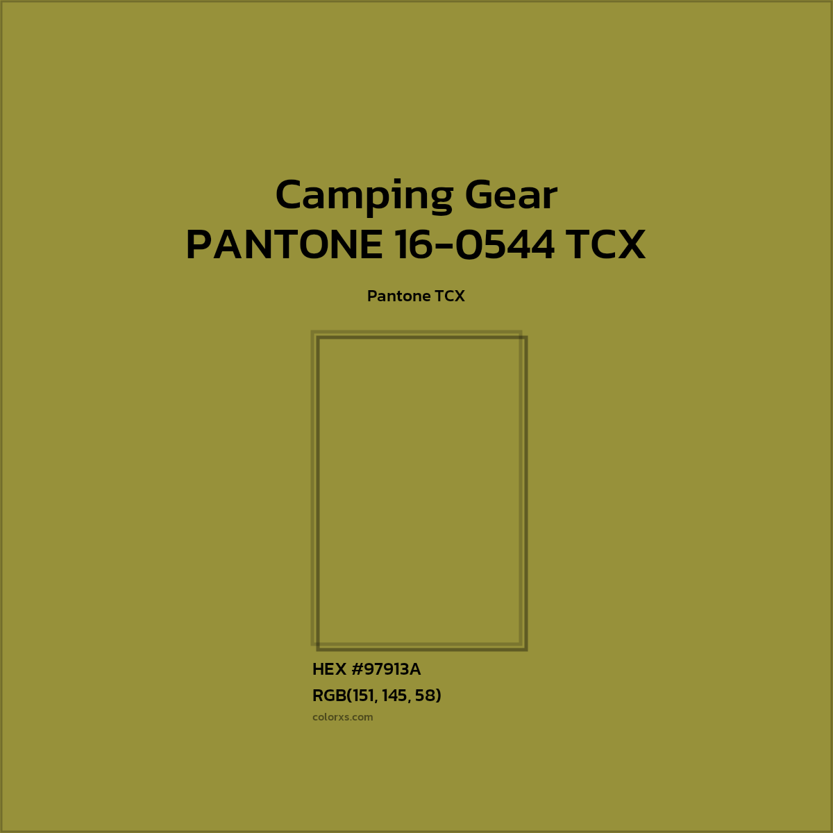 HEX #97913A PANTONE 16-0544 TCX - Camping Gear CMS Pantone TCX - Color Code