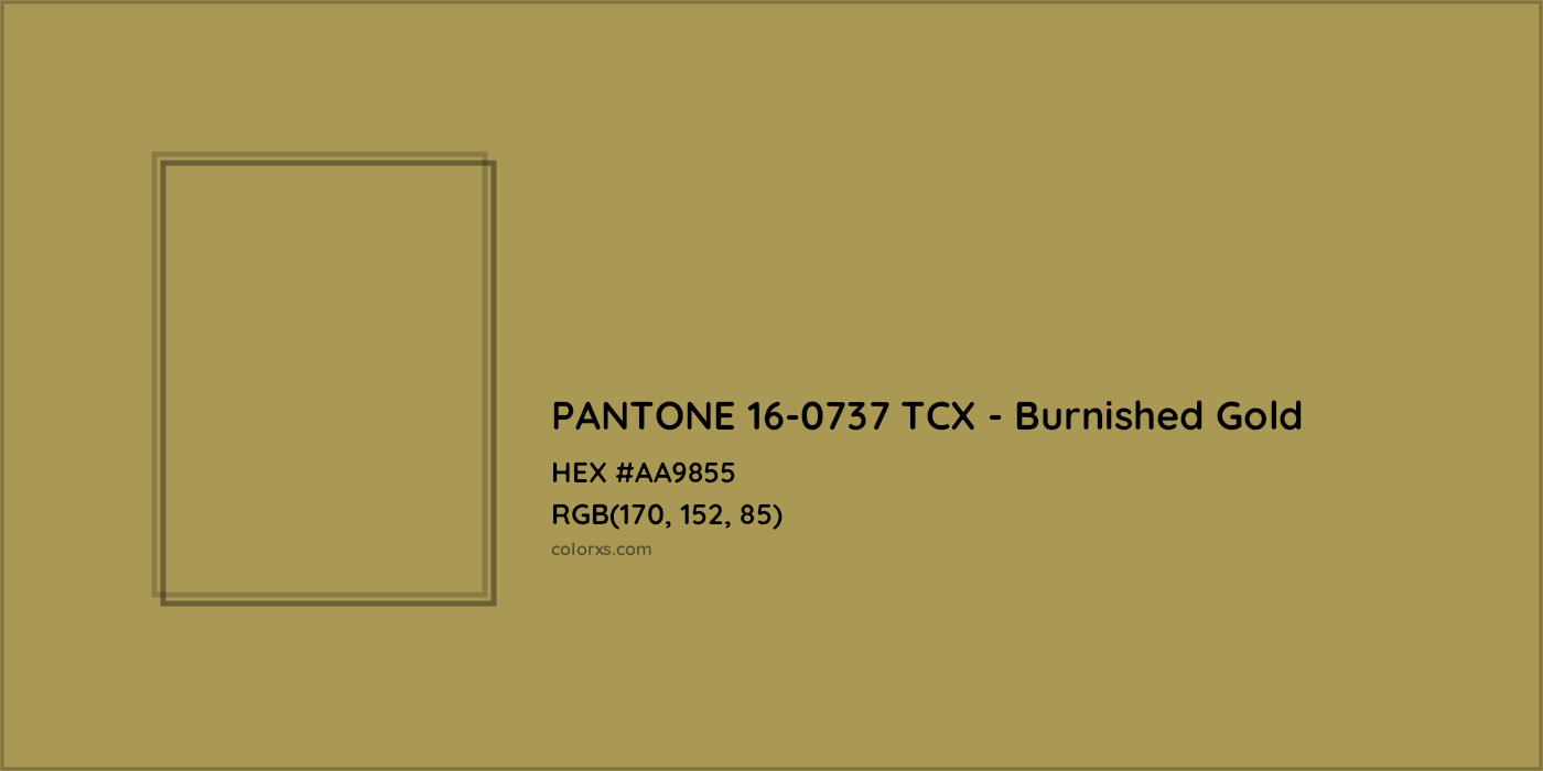 HEX #AA9855 PANTONE 16-0737 TCX - Burnished Gold CMS Pantone TCX - Color Code