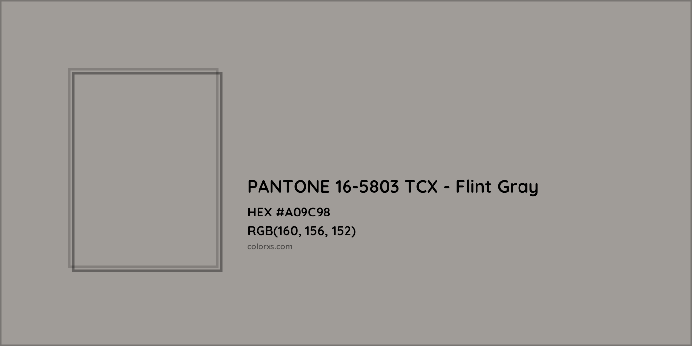 HEX #A09C98 PANTONE 16-5803 TCX - Flint Gray CMS Pantone TCX - Color Code