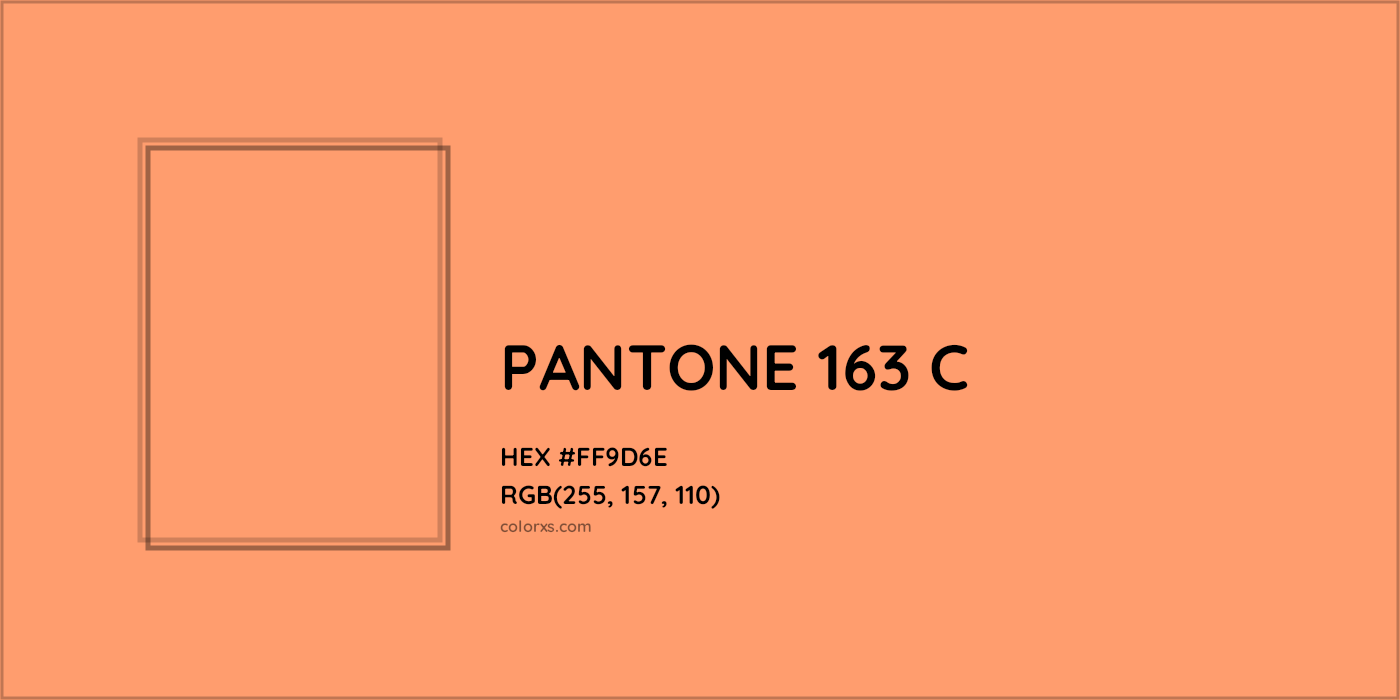 HEX #FF9D6E PANTONE 163 C CMS Pantone PMS - Color Code