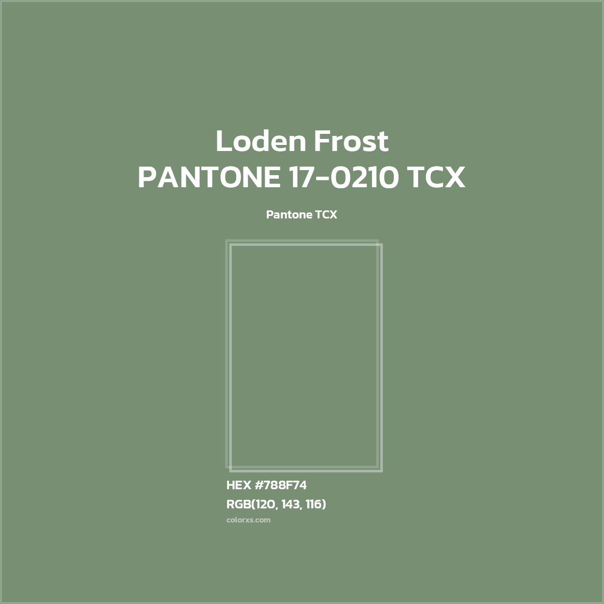 HEX #788F74 PANTONE 17-0210 TCX - Loden Frost CMS Pantone TCX - Color Code