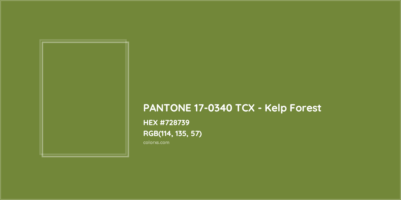 HEX #000000 PANTONE 17-0340 TCX - Kelp Forest CMS Pantone TCX - Color Code