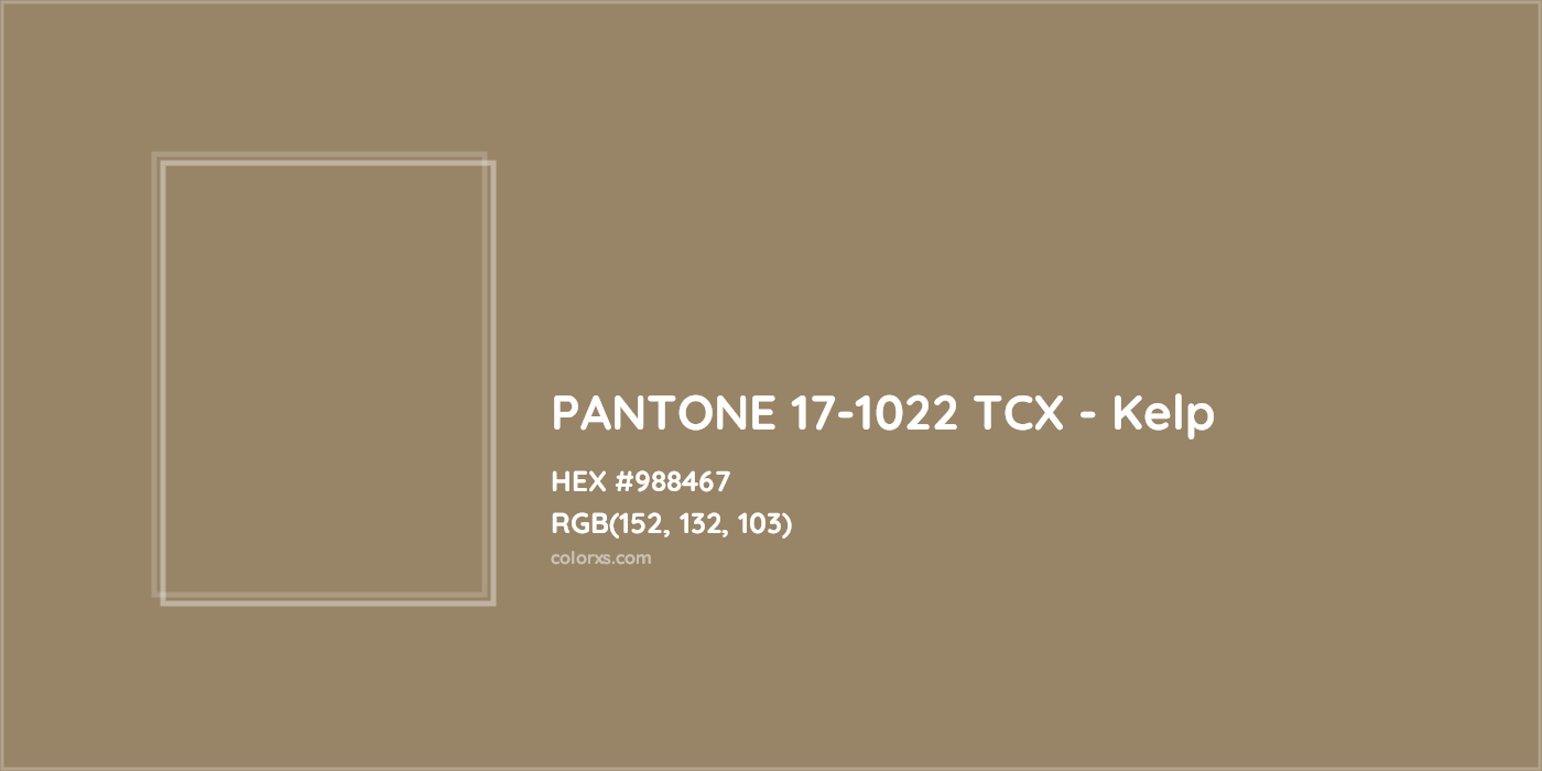 HEX #988467 PANTONE 17-1022 TCX - Kelp CMS Pantone TCX - Color Code