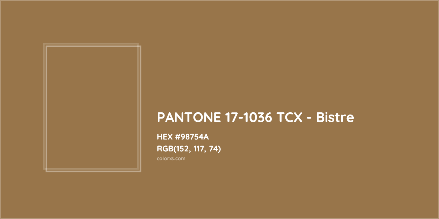 HEX #98754A PANTONE 17-1036 TCX - Bistre CMS Pantone TCX - Color Code