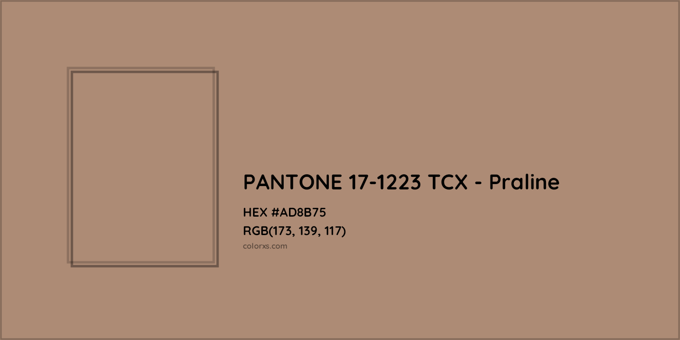 HEX #AD8B75 PANTONE 17-1223 TCX - Praline CMS Pantone TCX - Color Code
