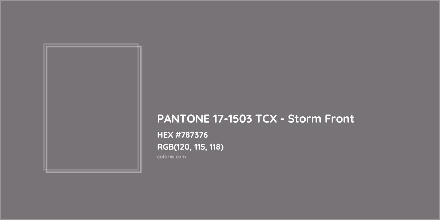 HEX #787376 PANTONE 17-1503 TCX - Storm Front CMS Pantone TCX - Color Code