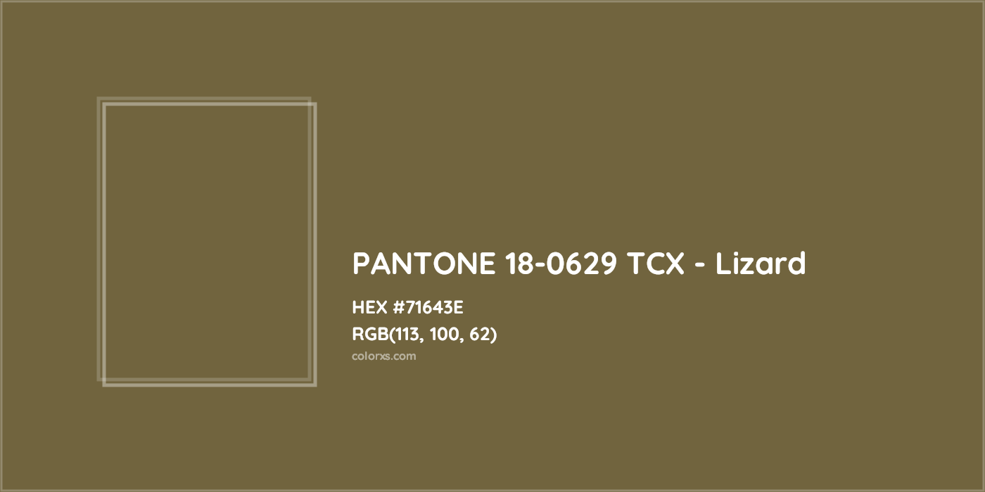 HEX #71643E PANTONE 18-0629 TCX - Lizard CMS Pantone TCX - Color Code