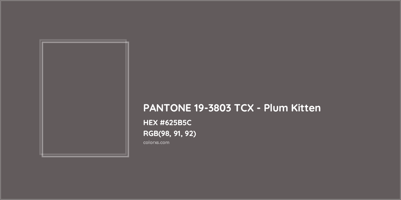 HEX #625B5C PANTONE 19-3803 TCX - Plum Kitten CMS Pantone TCX - Color Code
