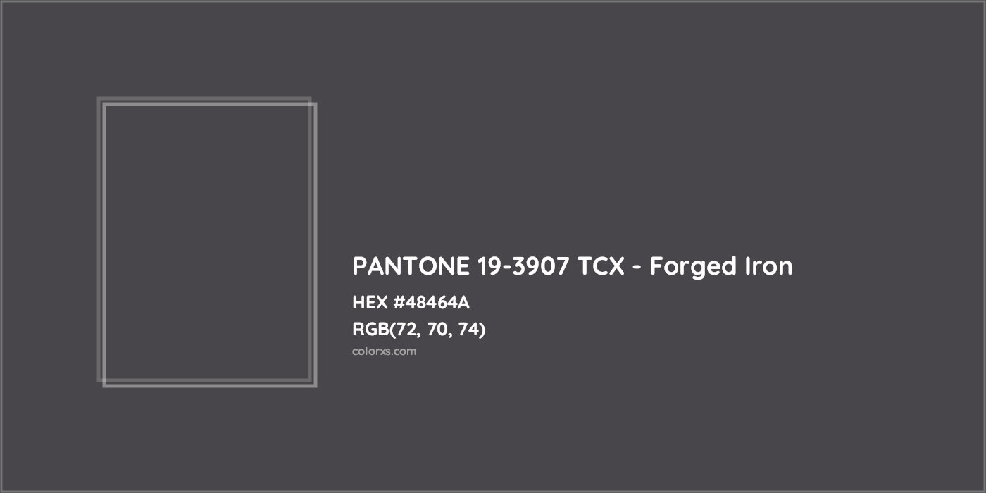 HEX #48464A PANTONE 19-3907 TCX - Forged Iron CMS Pantone TCX - Color Code