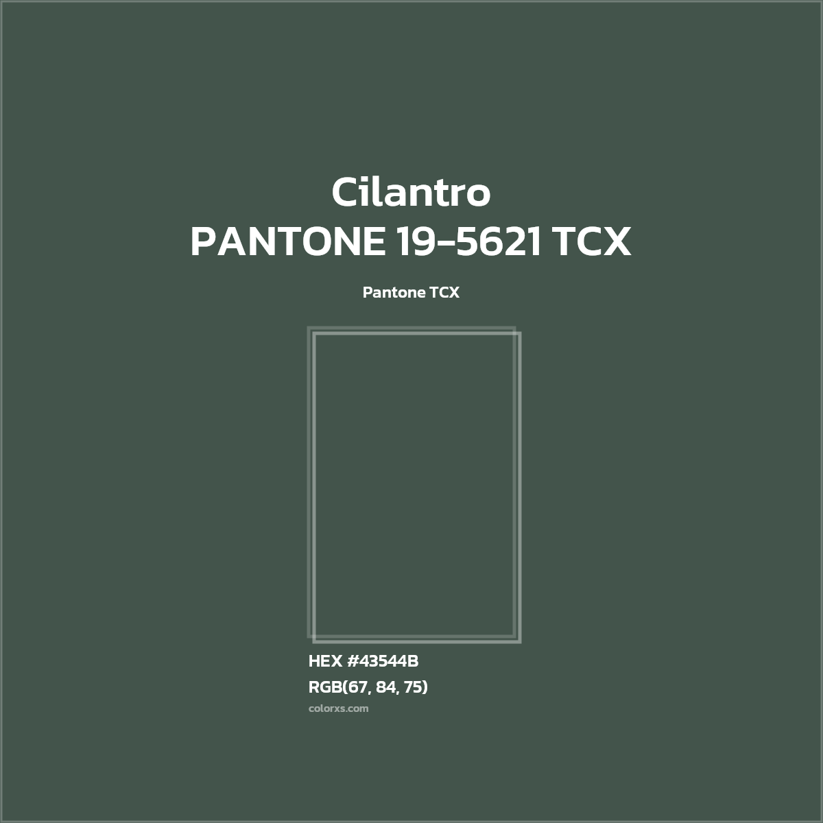 HEX #43544B PANTONE 19-5621 TCX - Cilantro CMS Pantone TCX - Color Code