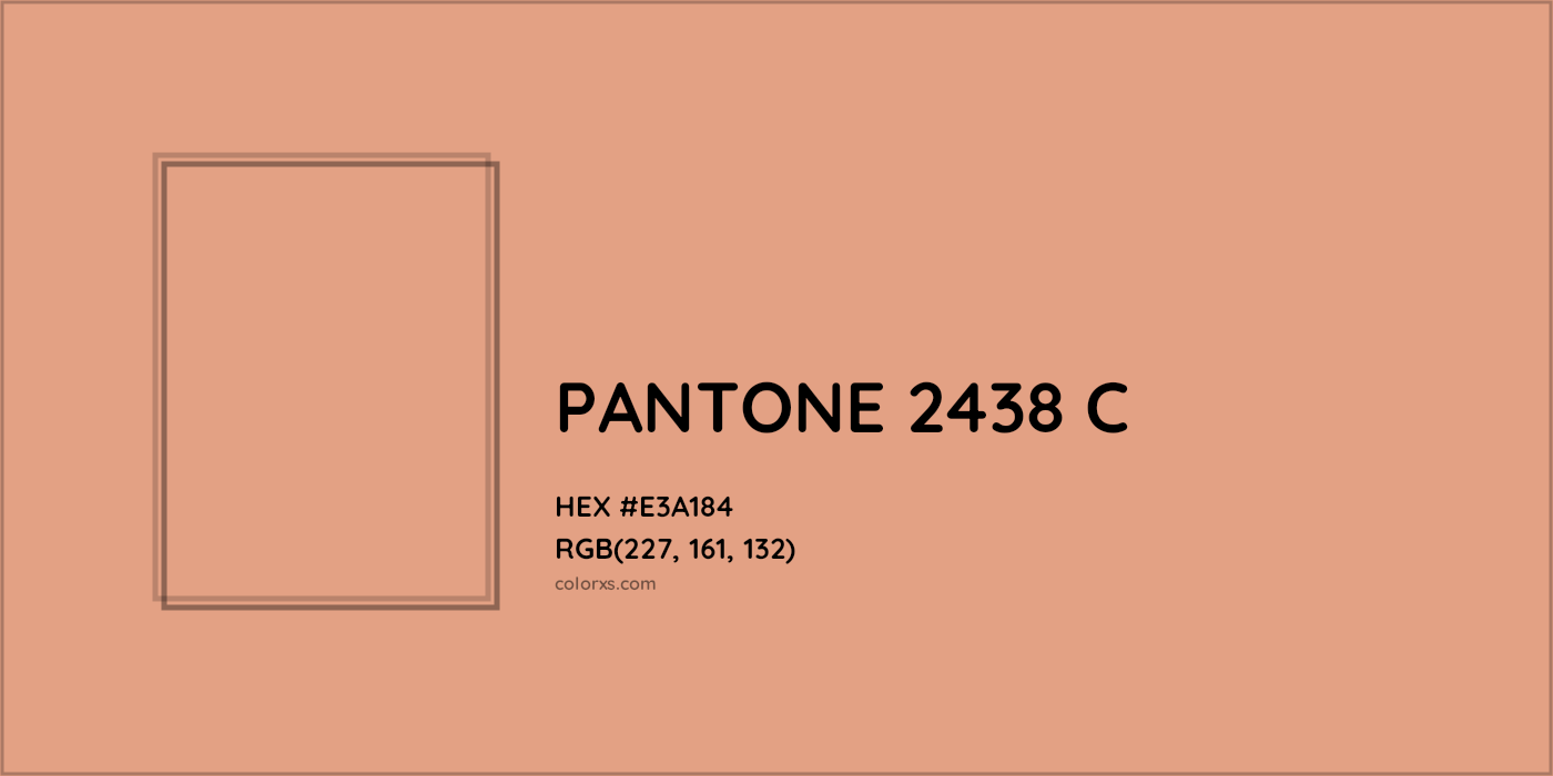 HEX #E3A184 PANTONE 2438 C CMS Pantone PMS - Color Code