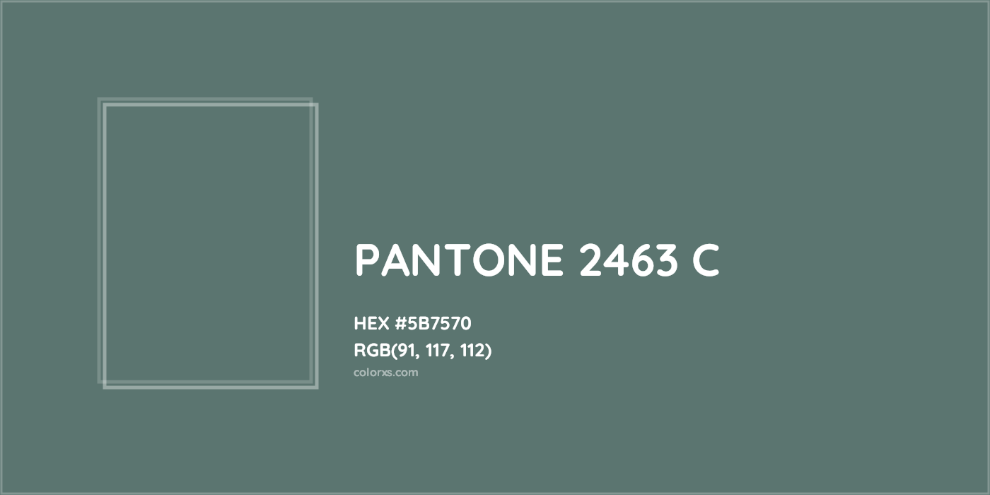 HEX #5B7570 PANTONE 2463 C CMS Pantone PMS - Color Code