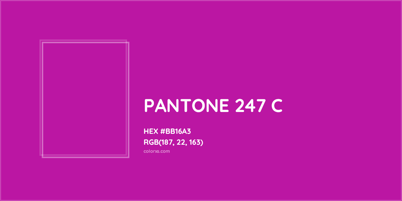 HEX #BB16A3 PANTONE 247 C CMS Pantone PMS - Color Code