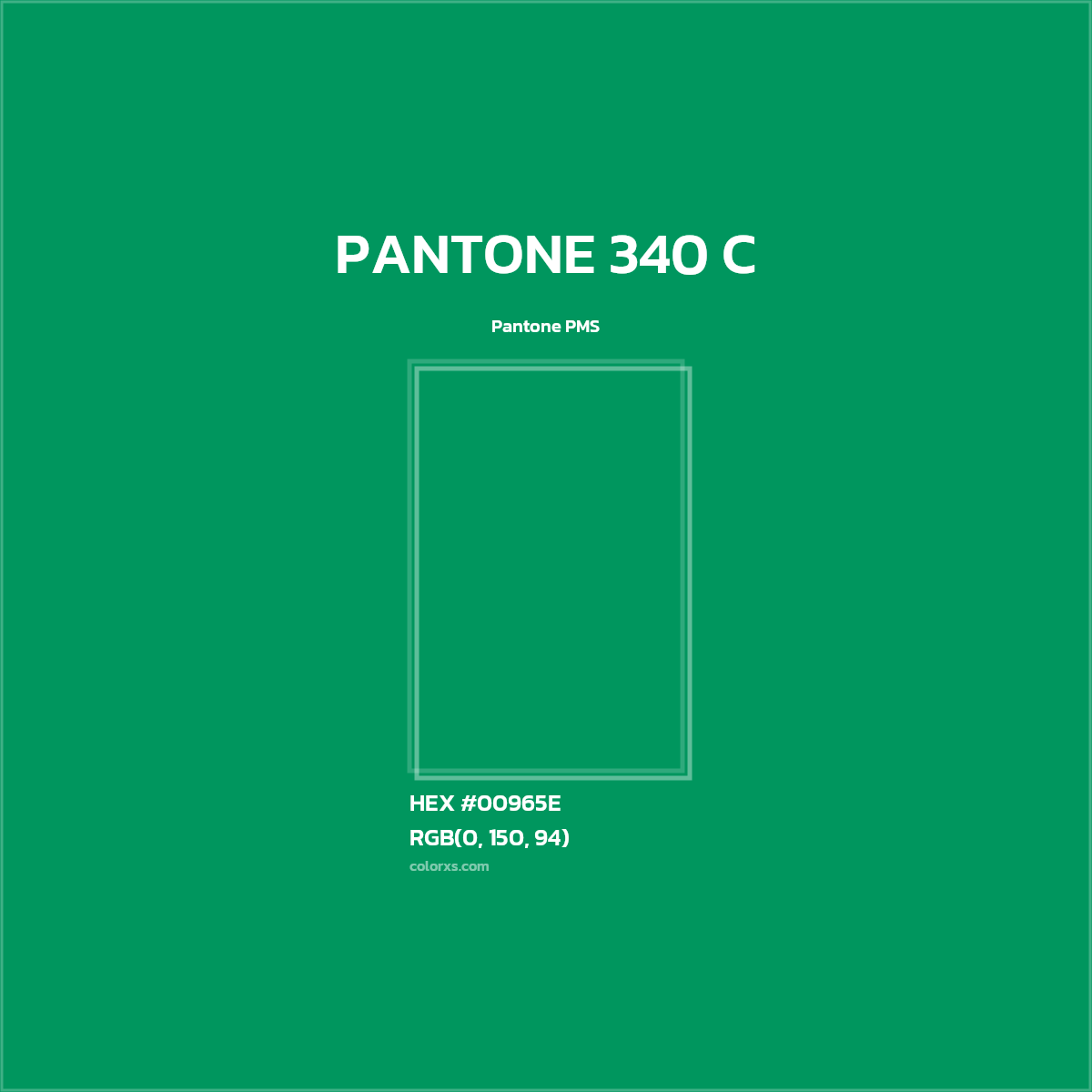 HEX #00965E PANTONE 340 C CMS Pantone PMS - Color Code