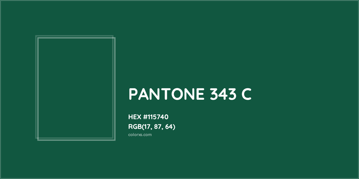 HEX #115740 PANTONE 343 C CMS Pantone PMS - Color Code