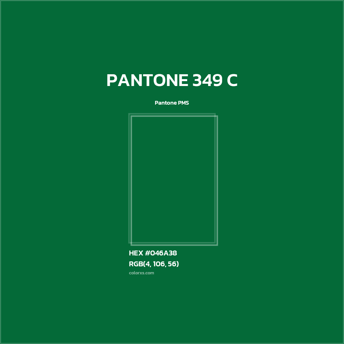 HEX #046A38 PANTONE 349 C CMS Pantone PMS - Color Code