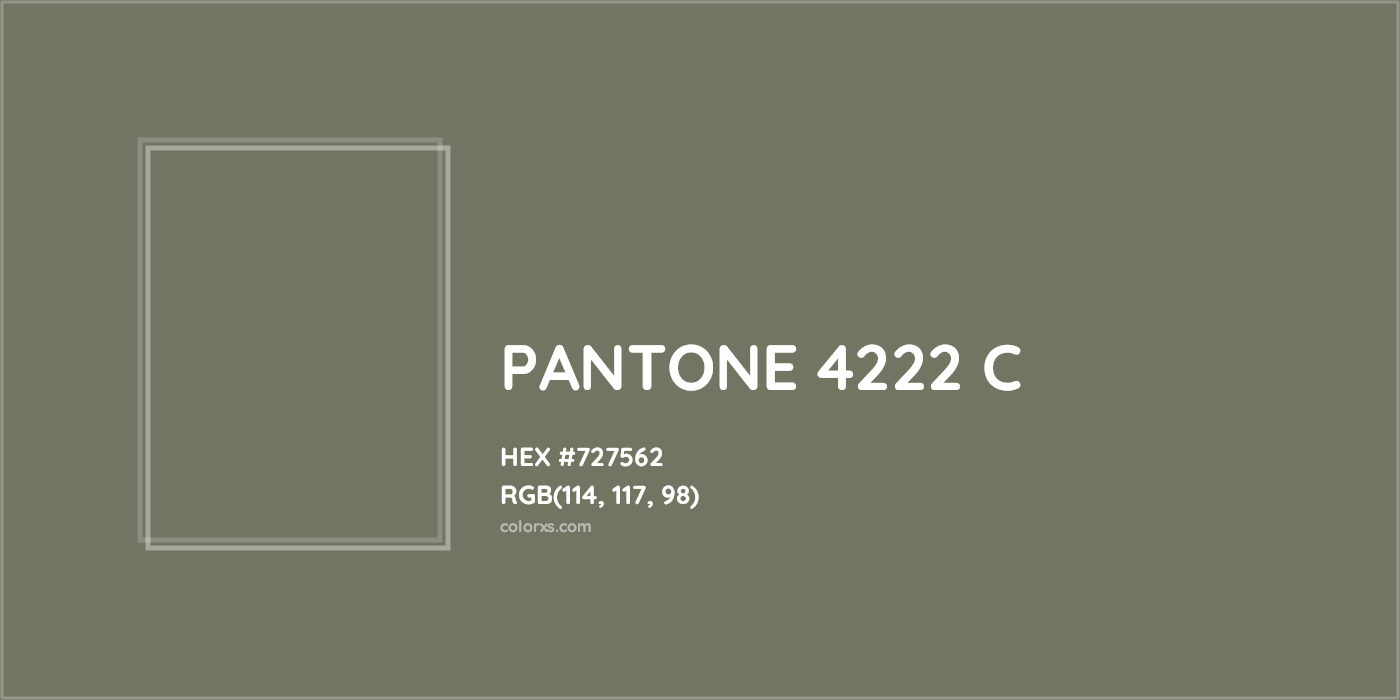 HEX #727562 PANTONE 4222 C CMS Pantone PMS - Color Code