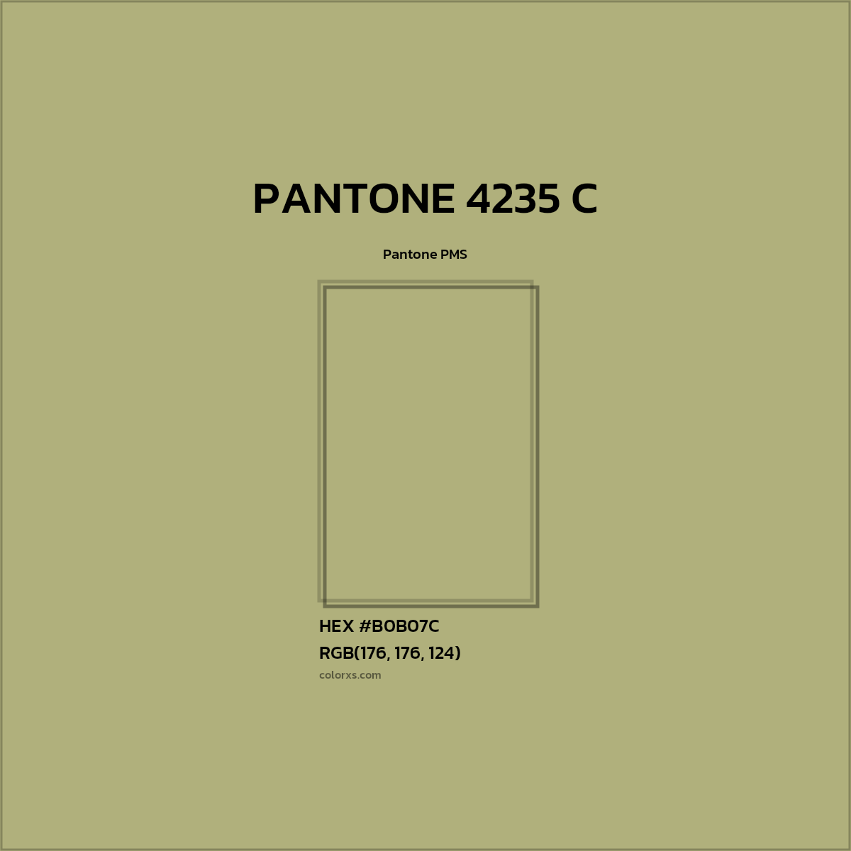 HEX #B0B07C PANTONE 4235 C CMS Pantone PMS - Color Code