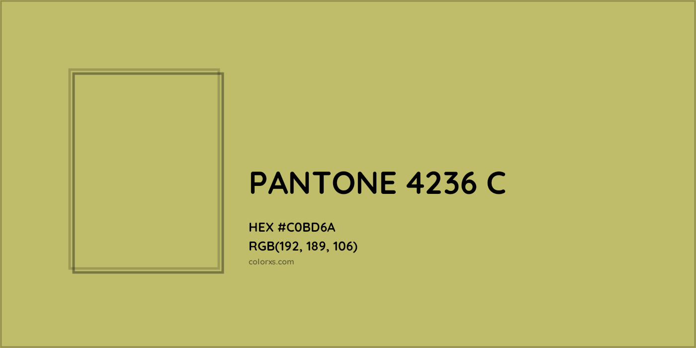 HEX #000000 PANTONE 4236 C CMS Pantone PMS - Color Code