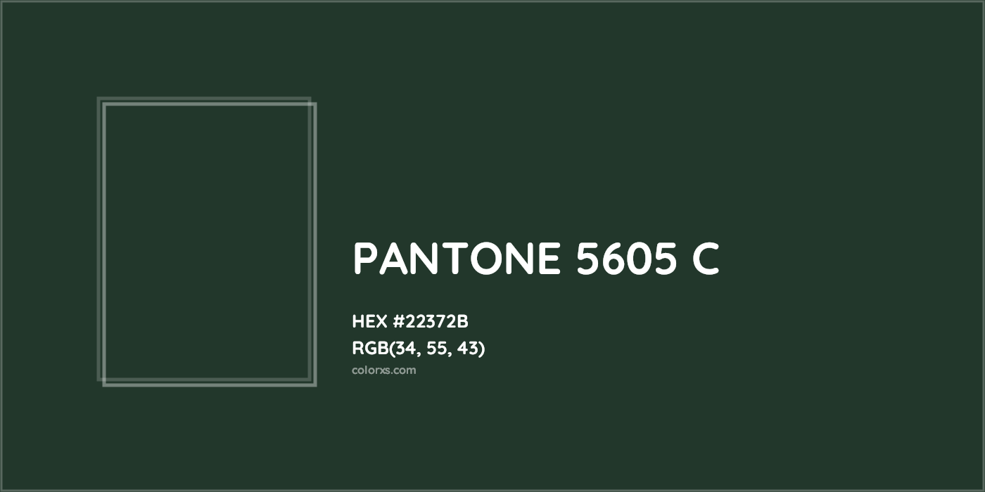 HEX #22372B PANTONE 5605 C CMS Pantone PMS - Color Code