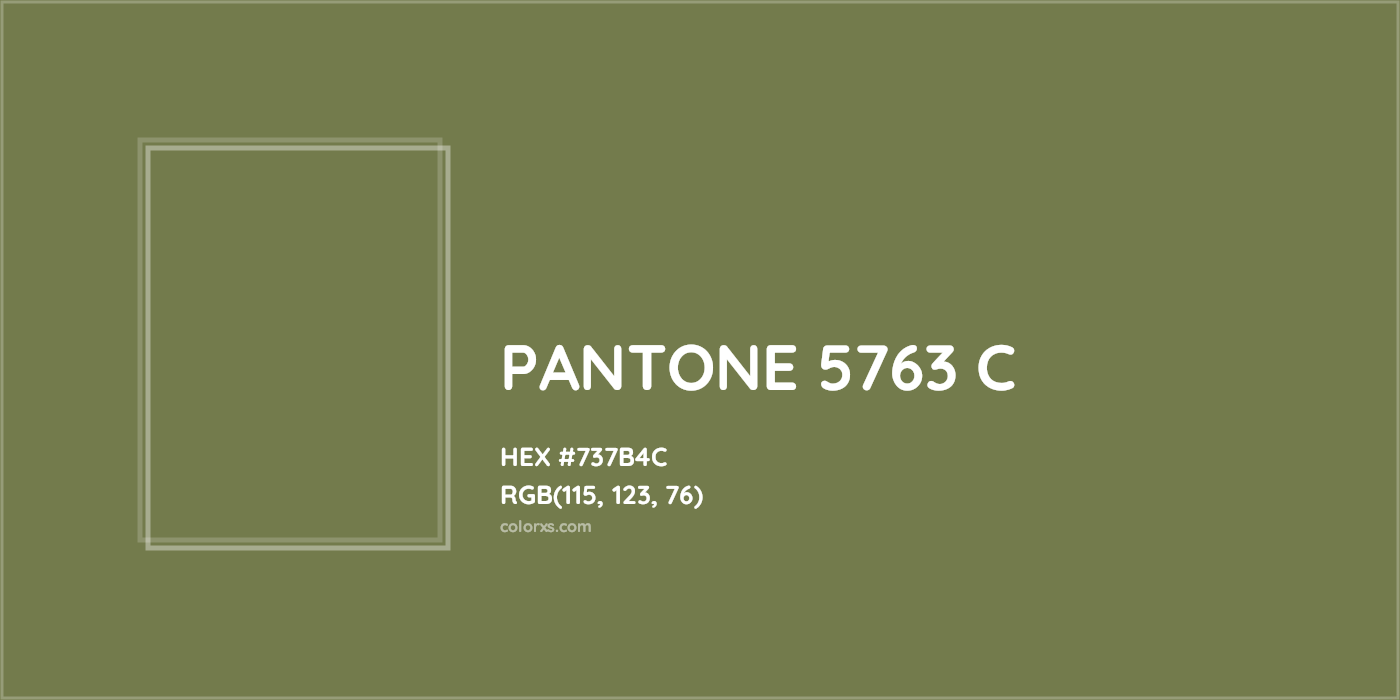 HEX #737B4C PANTONE 5763 C CMS Pantone PMS - Color Code