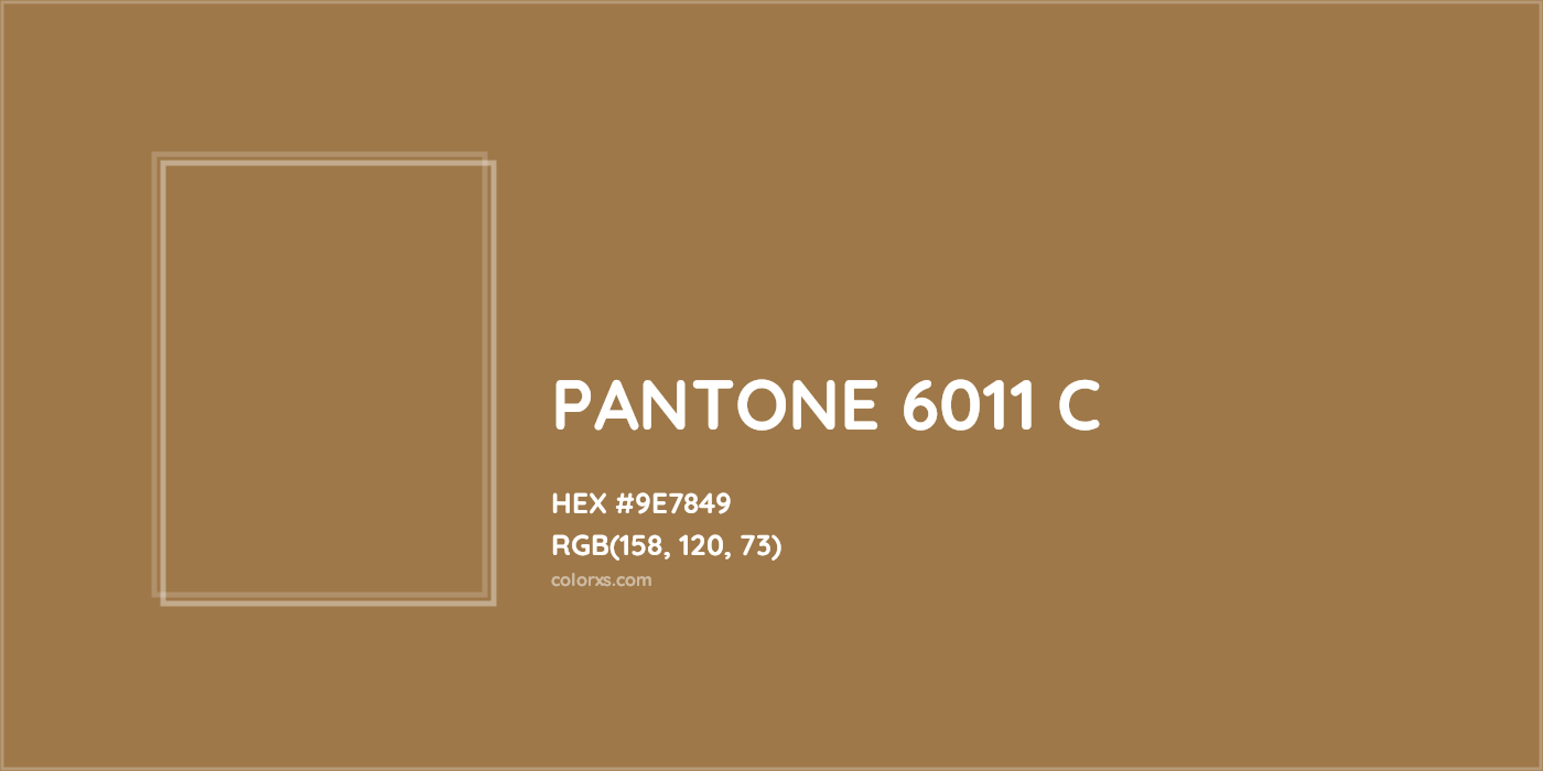HEX #9E7849 PANTONE 6011 C CMS Pantone PMS - Color Code